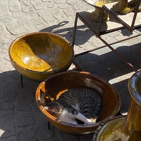 Villa Louisa Piscine Privee Sans Vis A Vis Dyar Shemsi Taroudant Ngoại thất bức ảnh