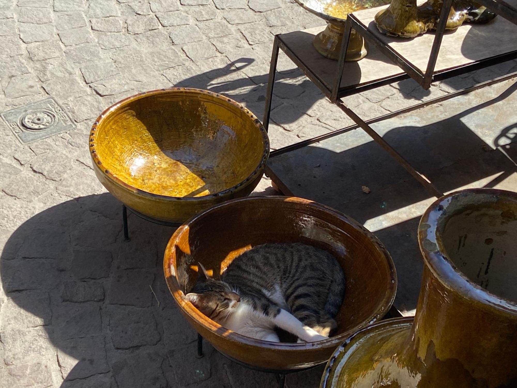 Villa Louisa Piscine Privee Sans Vis A Vis Dyar Shemsi Taroudant Ngoại thất bức ảnh