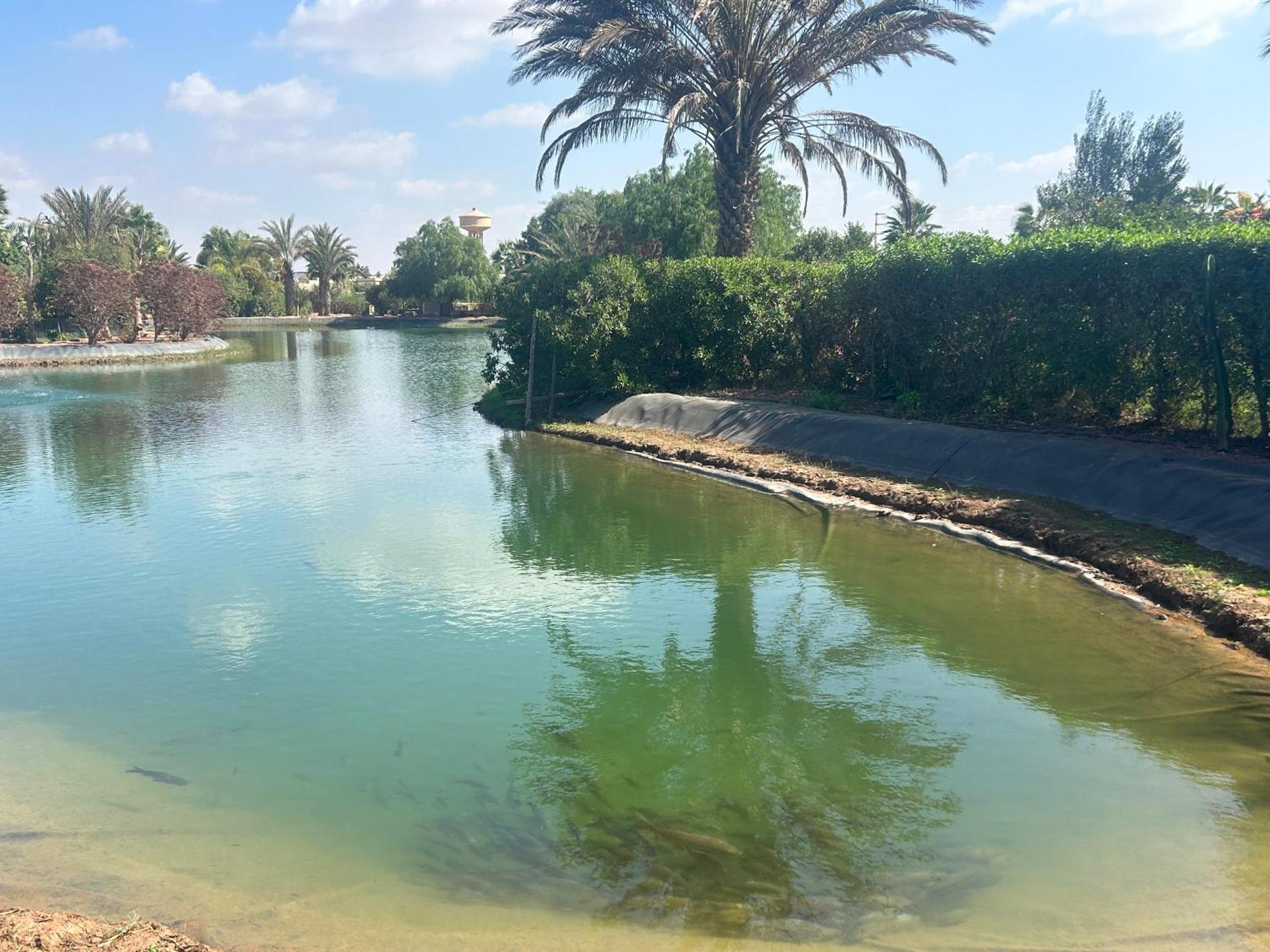 Villa Louisa Piscine Privee Sans Vis A Vis Dyar Shemsi Taroudant Ngoại thất bức ảnh